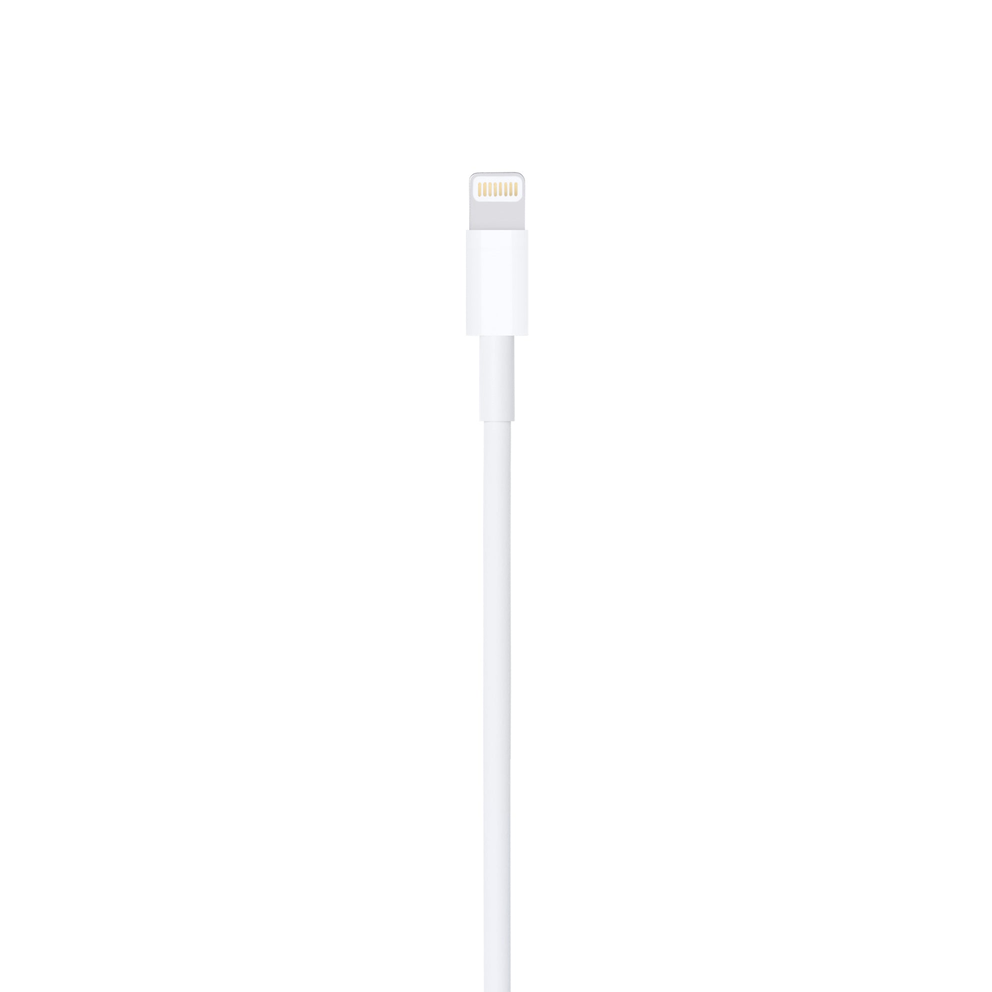 Apple Lightning to USB-A Cable 1m