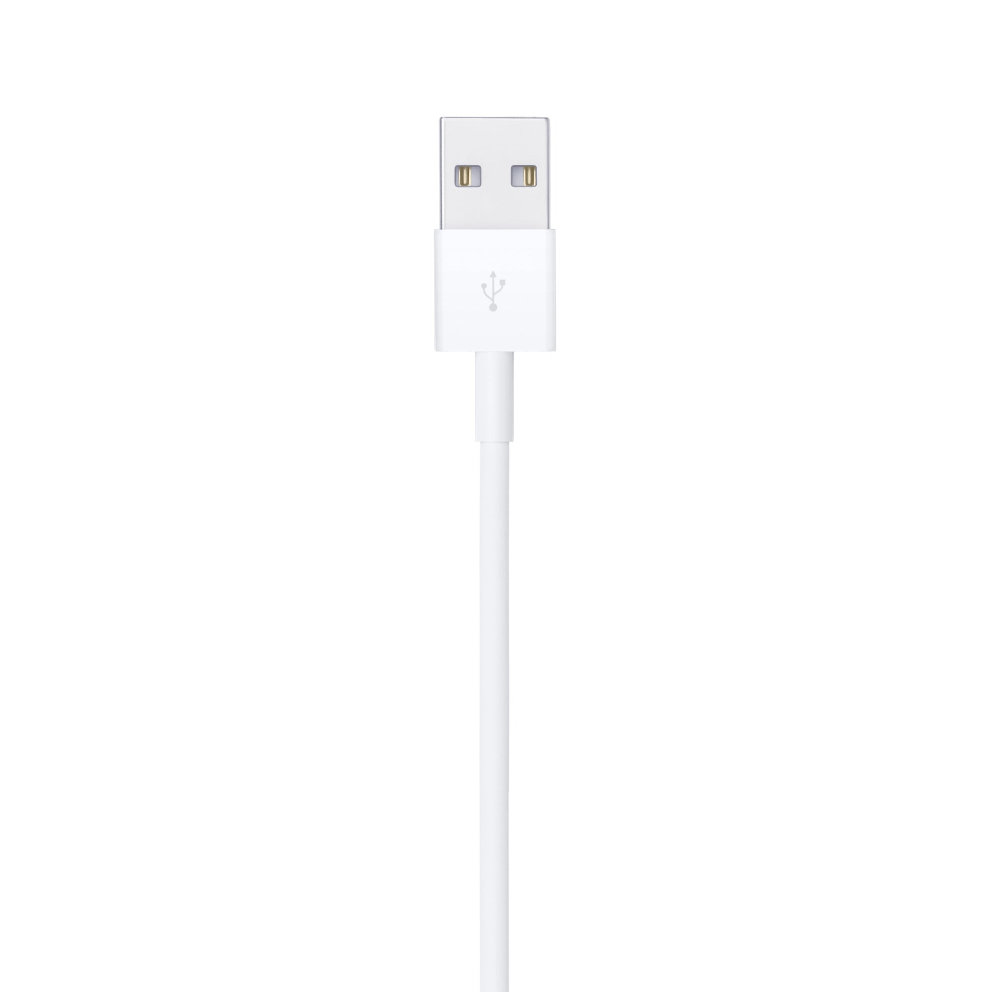 Apple Lightning to USB-A Cable 1m
